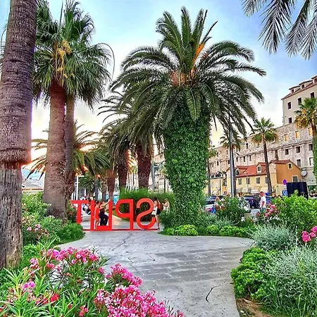 My Peace Apartment Split